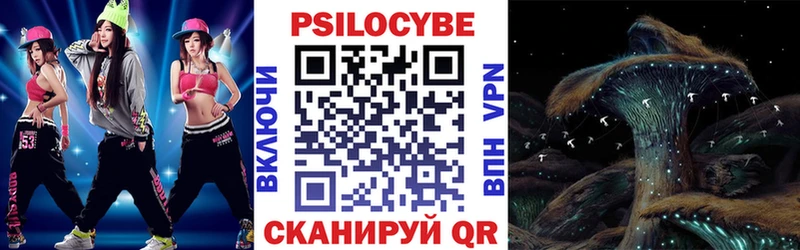 Псилоцибиновые грибы Psilocybe  Рудня 